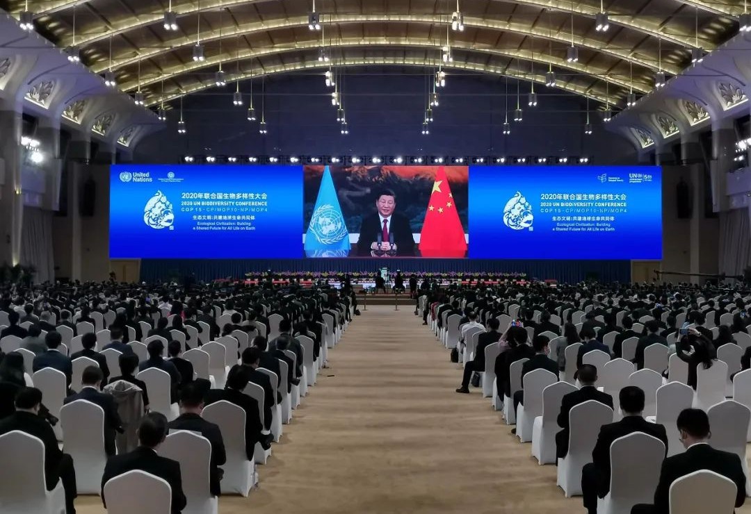 918博天堂(中国区)官方网站